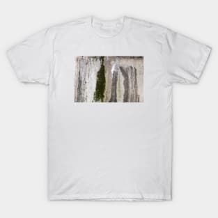 A mossy wall T-Shirt